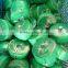 Thermal wrap/exhaust pipe thermo insulation wrap
