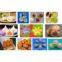 Food Processing Equipment Companies