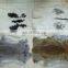 Big piece and soft raw color tanned rabbit skin