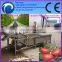 air bubble type fruit cleaning machine vegetable washing equipment Bubble blanching and washing machine