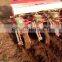 maize planter machine with ce