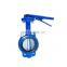 Ductile Cast Iron Pneumatic Wafer Butterfly Valve Dn100