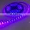 Shenzhen High Quality 5050 Led Flexible Strip Epistar 400nm uv Led Strip 5m/roll With 3 Years Warranty