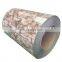 Customized Printing Color Steel Coil Galvanized Pattern Wood Grain Specifications Complete Color Coated Board