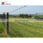 Barbed wire galvanized barbed wire 800m length factory barbed wire with good price