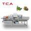 400 KGH Fully automatic other fruit & vegetable machines frozen fruit and vegetable washing machine