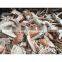 Agriculture High Mineral Protein Animal Feed Crab Shell Powder For Cattle Chicken Dog Fish Horse Pig