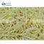 Sinocharm 2021 ISO Certified Frozen Bamboo Shoot Strip 4*4mm