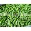 Sinocharm Frozen vegetable BRC A Approved 8-11CM IQF Asparagus Bean Cut Frozen Long Bean