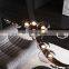 Factory Wholesale Modern Indoor Family Restaurant Decoration LED Glass Ball Pendant Lamp