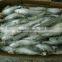 Frozen Seafood sardine factory Fish To Supply