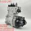0 445 020 245 Diesel Fuel Injection Common Rail Oil Pump 0445020245 for BOSCH