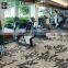 Wholesale High Quality Wilton Wool Carpet