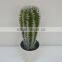 Green cheap tropical plants artificial succulent plants and artificial cactus flower