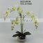 potted plant artificial white color orchid flowers