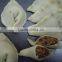 TY-503G Automatic Empanada Making Machine