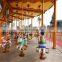 Fun Park Machines Musical Luxury Carousel for Sale