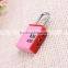 Hot Sale Top Quality Competive Price Resettble Combination Lock