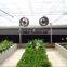 Greenhouse Circulating Fan