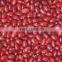 Canned Red Kiney Beans in Brine
