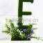 Latest Beautiful original table decoration mini plant mini potted plants