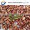 Pine nut peeling machine|pine nut shelling machine|pine nut machine