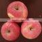 China Fresh Sweet Fuji Apple Red Apple