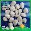 (Various Size) Delicious Garlic Cloves In Brine