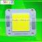 DC 30-32V 700mA 4046 4625Aluminum Base 20W COB LED