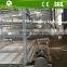 Fully automatic battery design poultry chicken layer cage