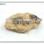 magent marine life fossil wall decor 3d rock effect wall decoration