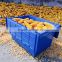 China distribition and grocery heavy duty shipping plastic storage container