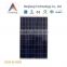 300W pv module poly solar panels for sale with high efficiency factory supply