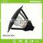 23W 40W Induction Garden Lights For Pedestrian Street Park Villa Garden Light Fixture