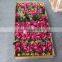 wholesale 2 heads artificial silk peony flower