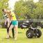 HIGH QUALITY giroskuter two wheel golf used electric scooter