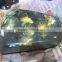 100% Natural Labradorite rough stone for wholesale