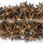 Guangxi Dried star anise
