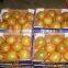 12KG Carton of Honey Pomelo Grapefruit