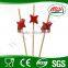 dried fresh fruit stick