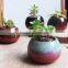 New christmas indoor decor glazed small succulent pot