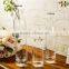 Home Decoration 30cm Tall Glass Bottle Flower Vase