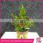 Factory high quality wholesale white pine needle artificial christmas tree for Christmas day