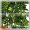 wholesale green artificial money tree make cheap outdoor large money tree
