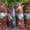 2016 Scented Dry Flower/ Dried Flower /70-80g potpourri