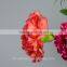 factory price supply fresh cut flowers carnation for weddings
