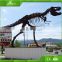 Dino museum display dinosaur skeleton model