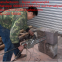 Supply ssy-500 hydraulic universal cutting chain saw / diamond chain saw