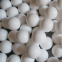 Valve balls PTFE balls check balls fit AODD PUMPS