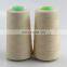 WT brand 40s/2  100% polyester flame retardant sewing thread for clothing
